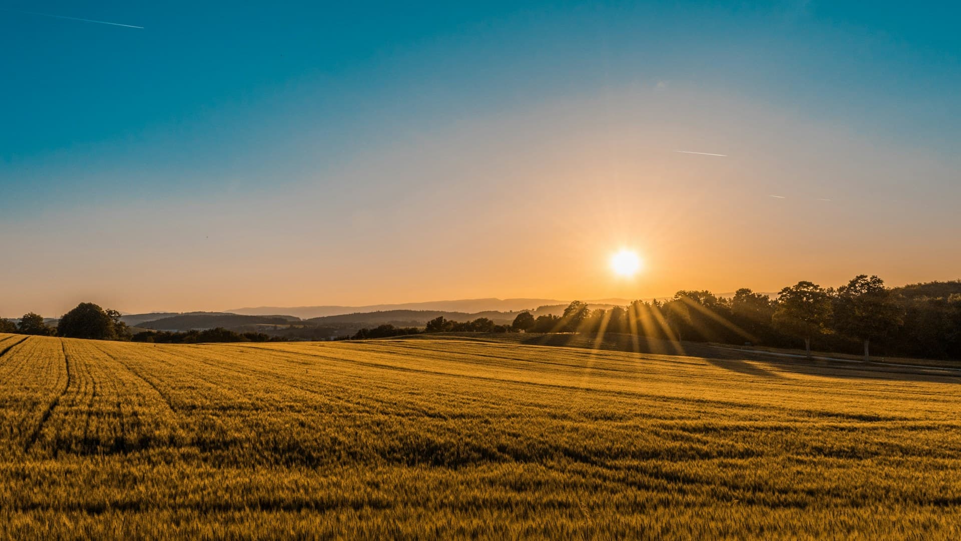 Agricultural & Land Services